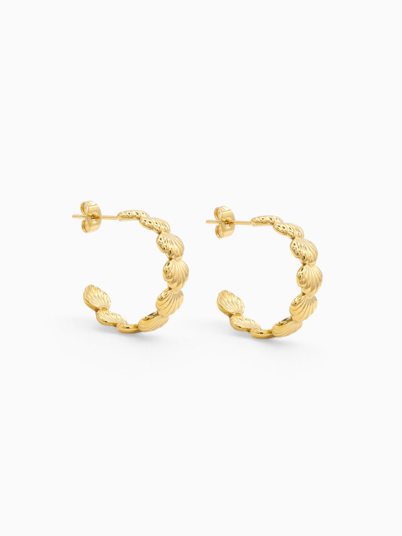 SEA SHELL MEDIUM HOOPS